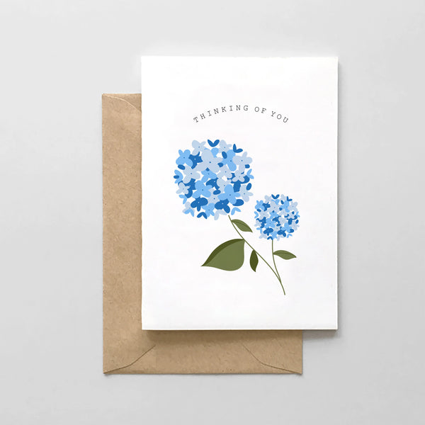 Spaghetti & Meatballs Thinking of You - Hydrangea Design