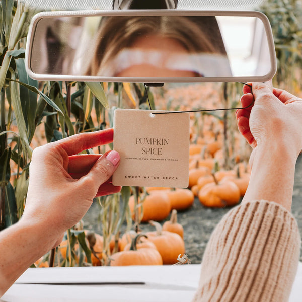 Sweet Water Decor Pumpkin Spice Hanging Air Freshener