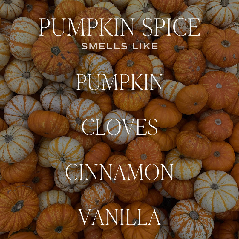 Sweet Water Decor Pumpkin Spice Hanging Air Freshener