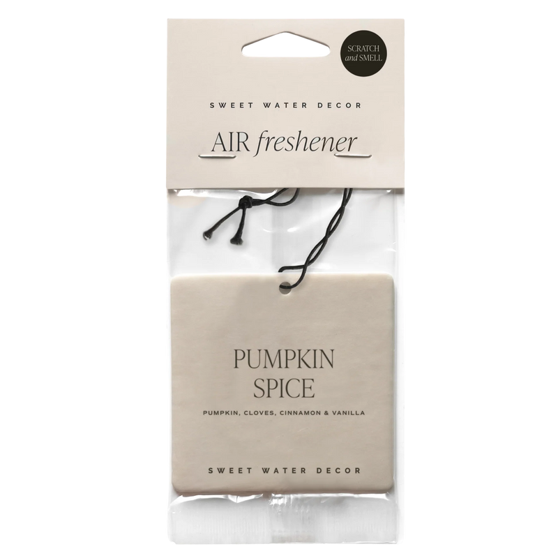 Sweet Water Decor Pumpkin Spice Hanging Air Freshener