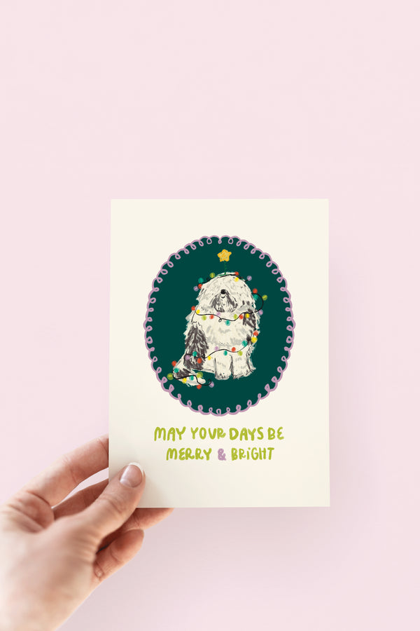 The Shelley Society Merry & Bright Sheepdog in Christmas Lights