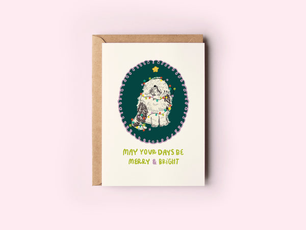 The Shelley Society Merry & Bright Sheepdog in Christmas Lights