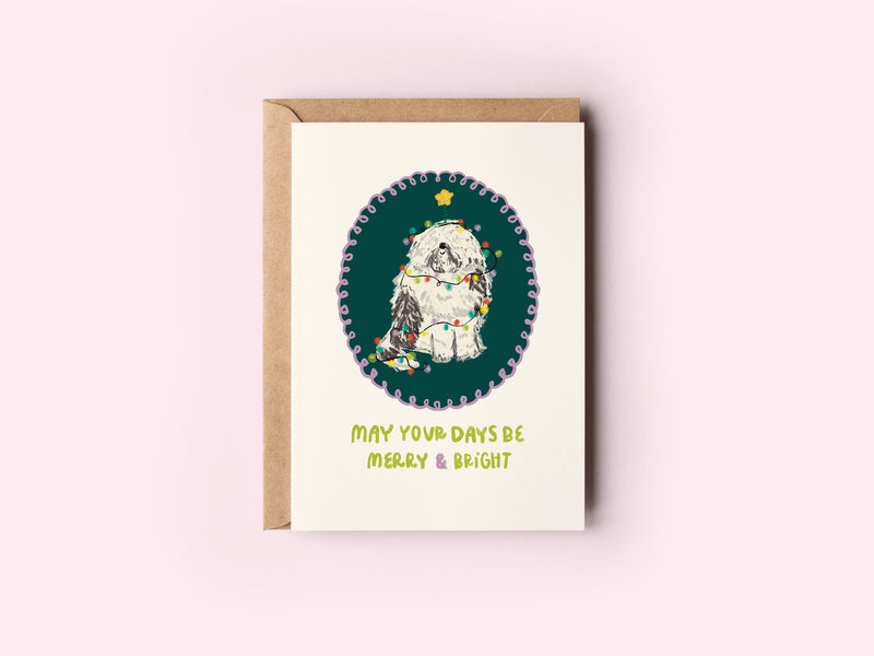 The Shelley Society Merry & Bright Sheepdog in Christmas Lights