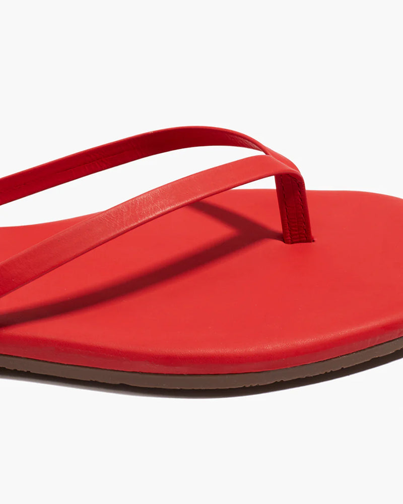 Tkees Square Toe Lily Red