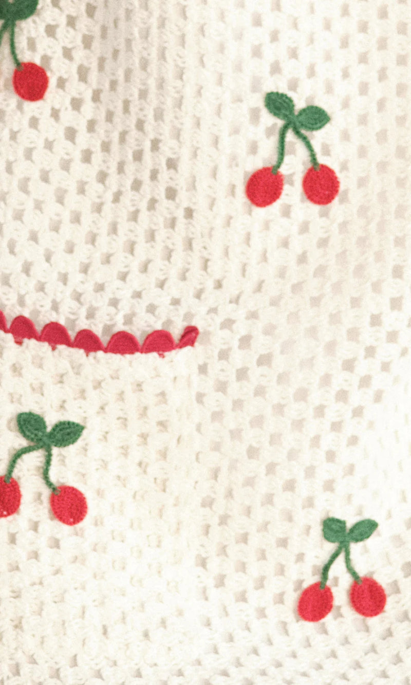 Saylor Wynn Cherry Mesh Crochet Mini Dress
