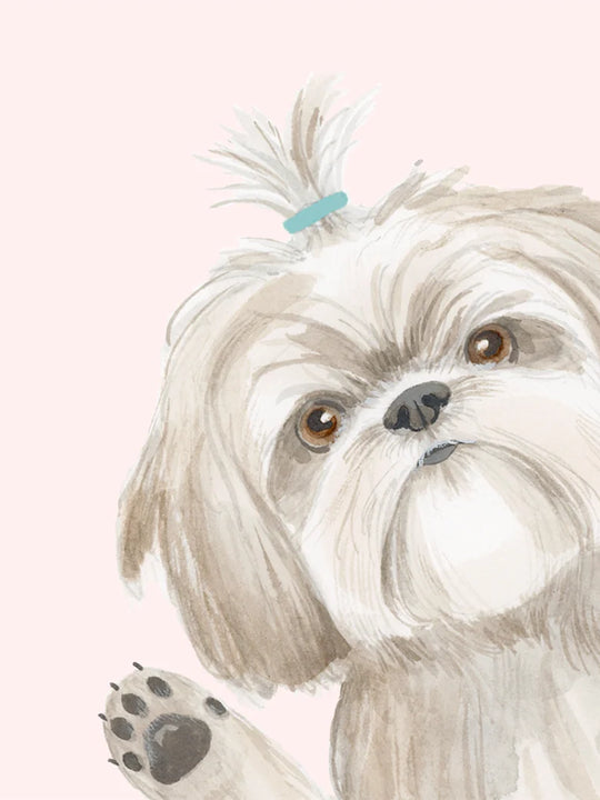 Dear Hancock Hope Your Birthday is the Shihtz