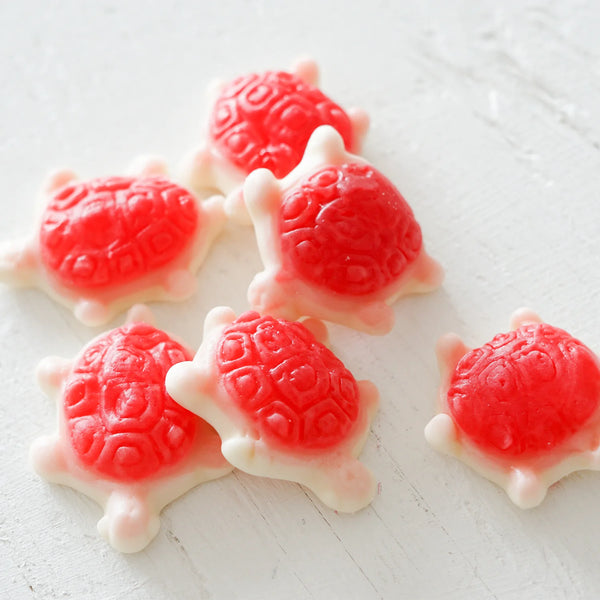 La Boite a Bonbons Tortues de Mer / Sea Turtles