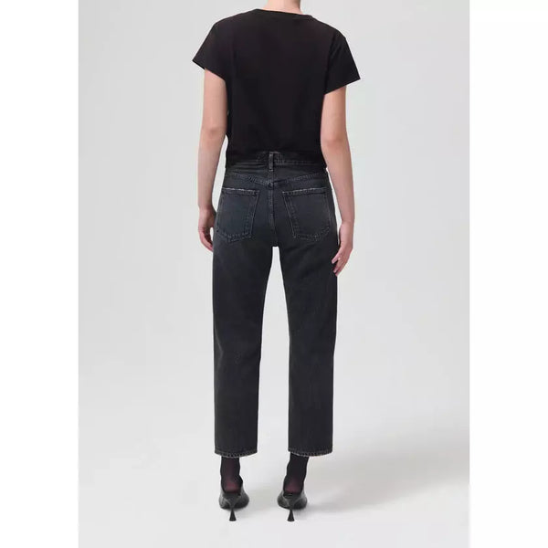 Agolde 90s Crop Mid Rise Loose Fit in Paradox