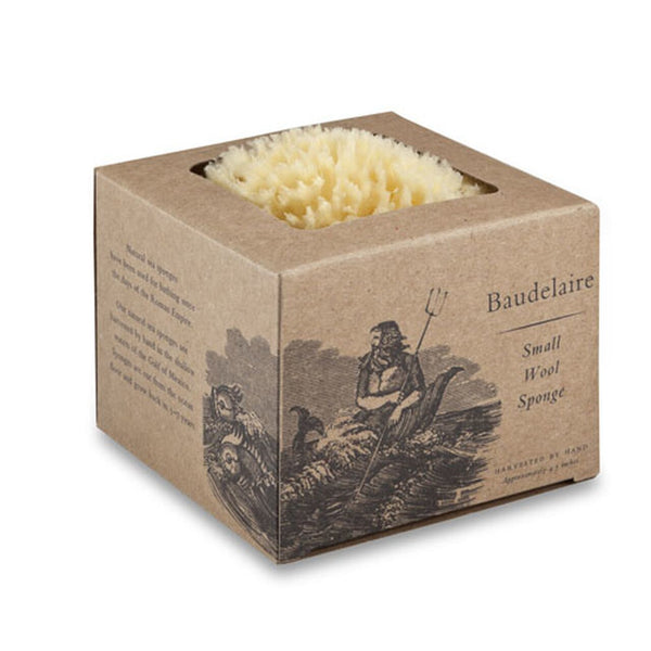 Baudelaire Wool Sponge Boxed Large