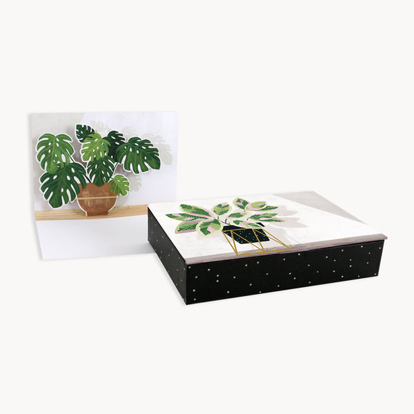 UWP Luxe Boxed Potted Plants