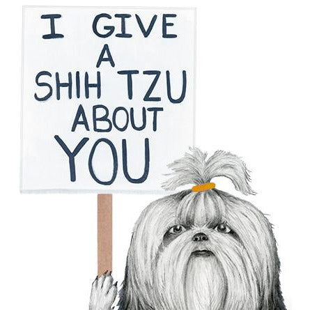 Dear Hancock I give a Shih Tzu about You