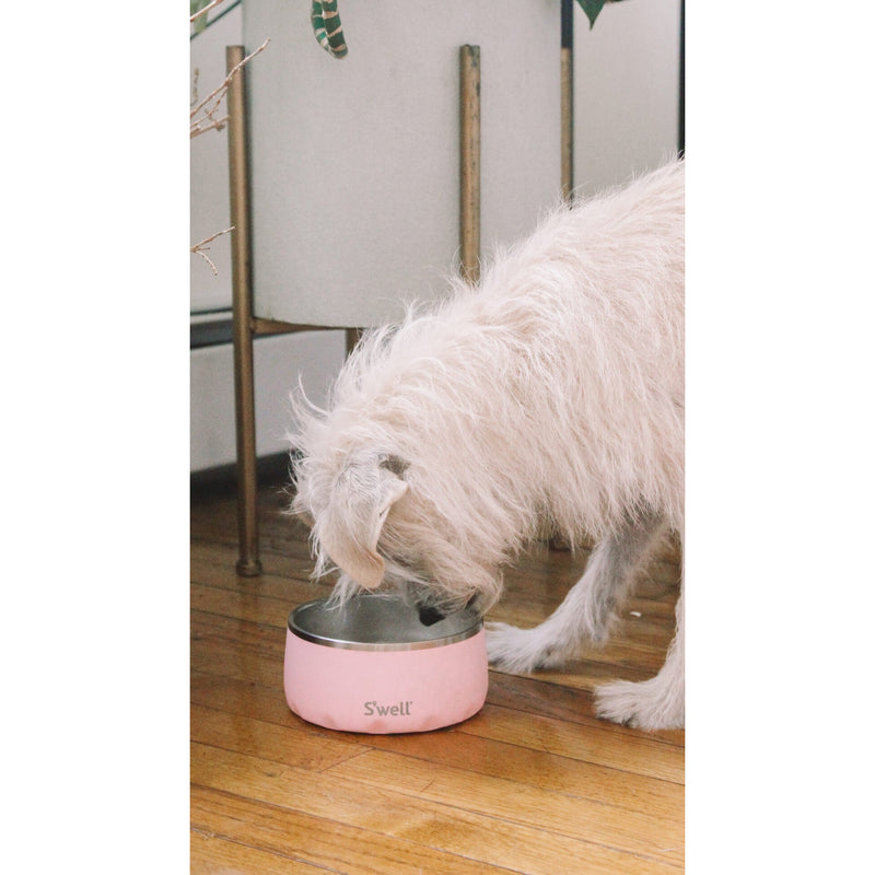 S'well Pink Topaz Dog Bowl