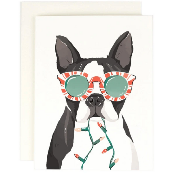 Amy Heitman Boston Holiday Lights