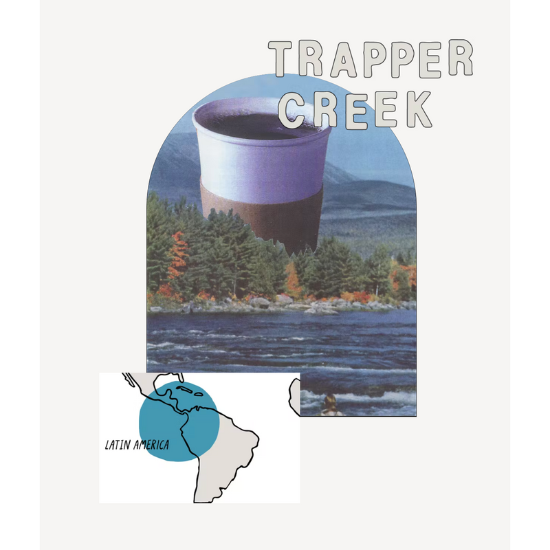 Stumptown Trapper Creek Decaf