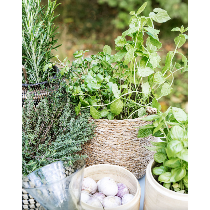 Society of Lifestyle Basket Hang - Nature