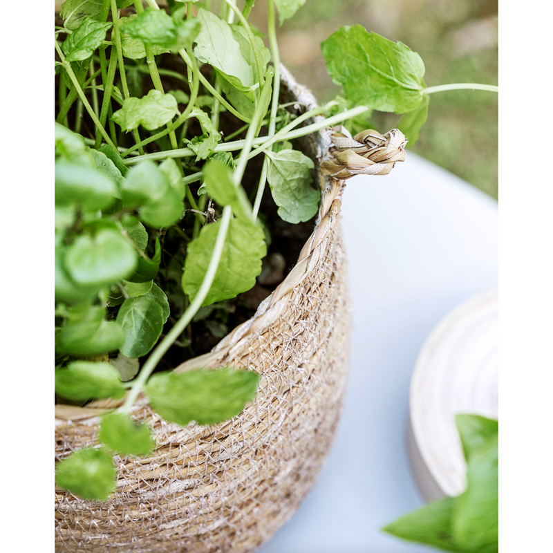 Society of Lifestyle Basket Hang - Nature