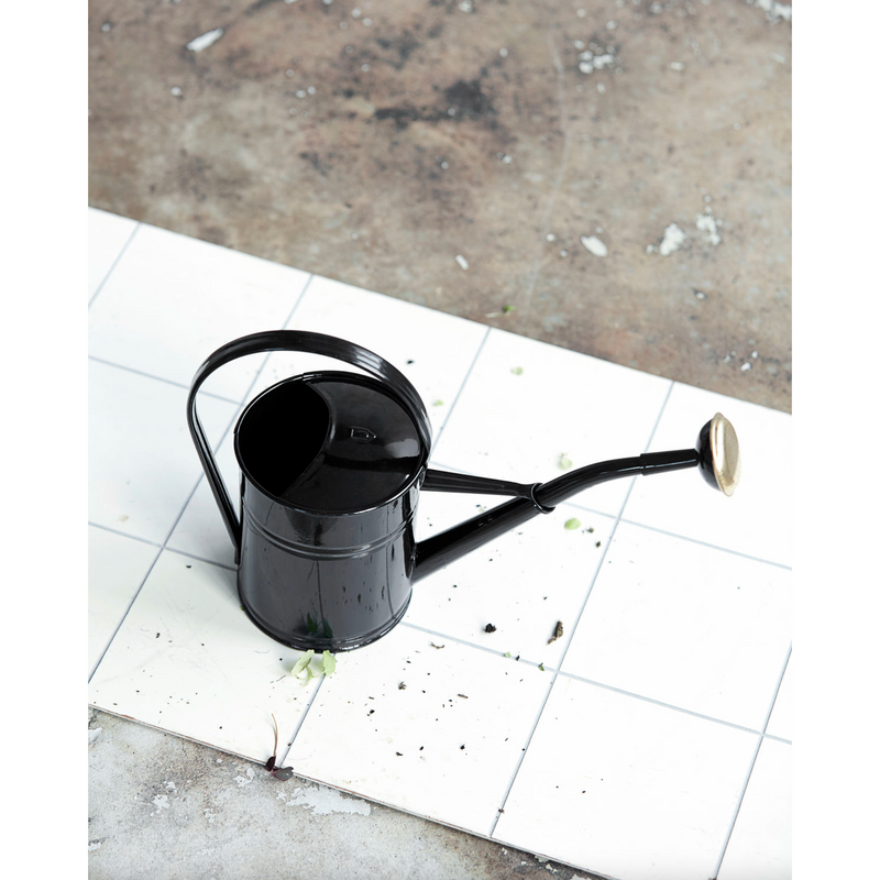 Society of Lifestyle Watering can - Black