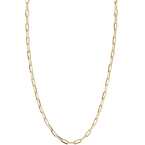 Lizzie Mandler Knife Edge Oval Chain