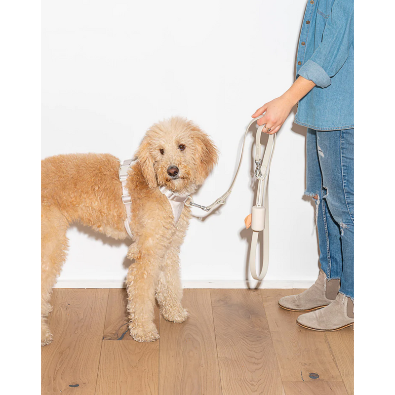 Wild One Leash – Atelerietheshop