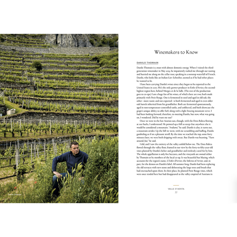 Vino: The Essential Guide to Real Italian Wine